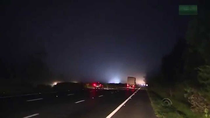 Vaca é atropelada no RS - HD