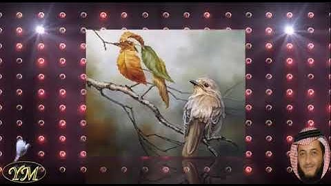 53 سورة النجم كاملة للقارئ الشيخ هاني الرفاعي