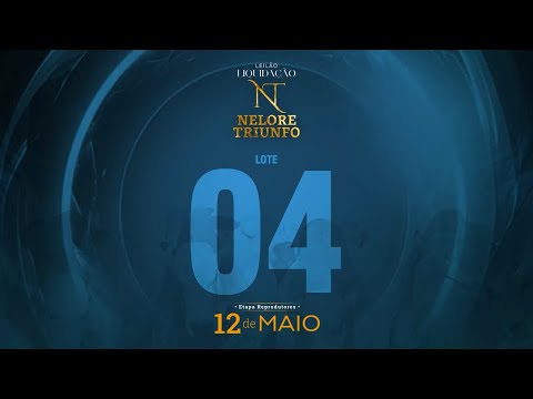 LOTE 04 - MACF 611