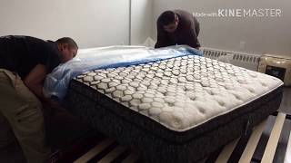 Unboxing Sealy Optimum Posturepedic Technology | King Size Bed