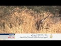 نشرة اقتصاد المنتصف 12/3/2014
