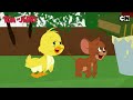 Tom Jerry 2026 Tom And Jerry Food Wars Cartoon For Kids Cat The Mouse Cnindia