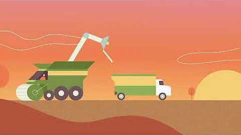 The Life of a Soybean