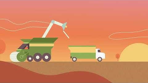 The Life of a Soybean