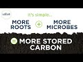 Soil Carbon Sequestration: How it Works