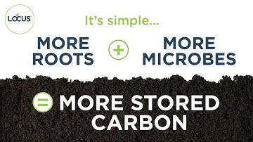 Soil Carbon Sequestration: How it Works