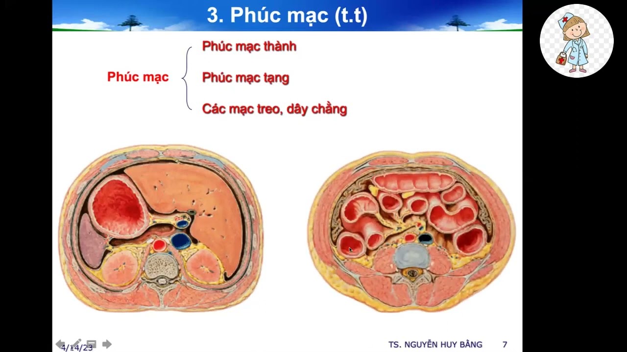 HỆ TIÊU HÓA | TS. BS. NGUYỄN HUY BẰNG | Ôn thi SĐH 2023
