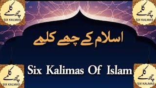 Islamic Kalimas in Arabic | Learn Six Kalimas by Qari Muhammad Mohsin Qadri | 6 Kalimas of Islam Islamic Kalimas in Arabic | Learn Six Kalimas by Qari Muhammad Mohsin Qadri | 6 Kalimas of Islam