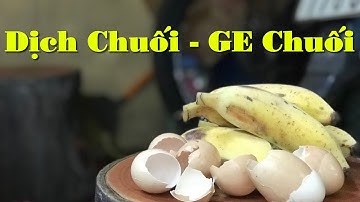 Cách Làm Dịch Chuối - GE Chuối Cực Đơn Giản