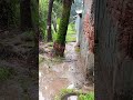 বৃষ্টির দিনে গ্রামের চিত্র #dailyvlog #govtjobs #গ্রাম #