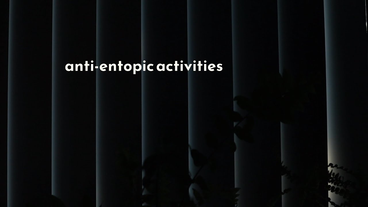 anti-entropic activities