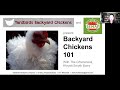 Semap backyard chickens 101