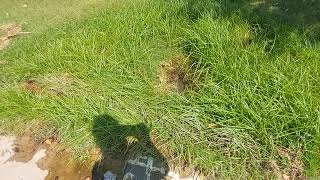 Parkwood Apartments-3810 W. Dunlap Ave.  property video update 08.19.21