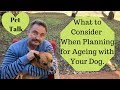 What to consider when planning for ageing with your dog