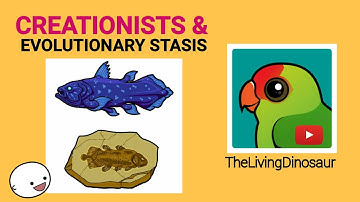 Creationists and Evolutionary Stasis. TheLivingDinosaur.