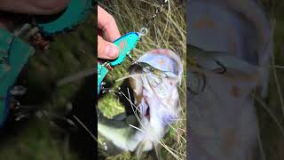#fishing #bass #homemade fishing with homemade swimbait