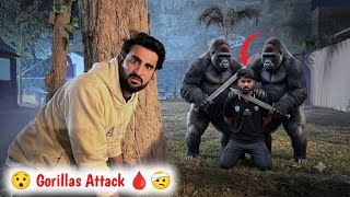 Gorillas 🦍 Attack on Sabtain 😧 || Shehr Main Dihat