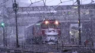 試9502レ 雪を纏ったEF81 133+24系客車