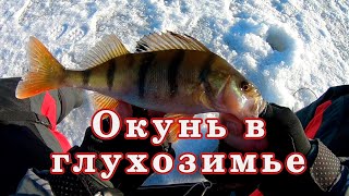 КАК ? Ловля окуня зимой в ГЛУХОЗИМЬЕ! Самая простая снасть!