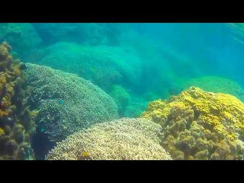 �����̊C�̒�(7)/16�b