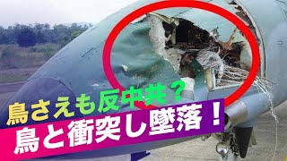 「鳥さえも反中共？」中共戦闘機が鳥と衝突し墜落