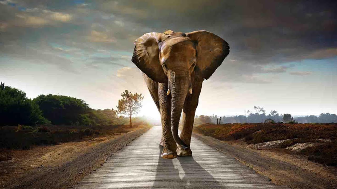 [FREE] Post Malone x PNL Type Beat 2019 - "Blanca" (Prod. Laback) | INSTRU TRAP 2020