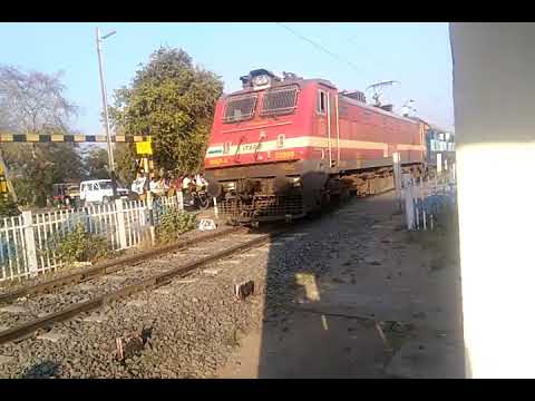 19713 JP SC SF EXP WITH ET WAP-4 (#22856)