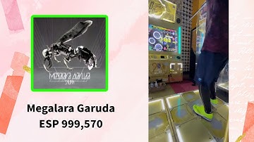 【DDR】Megalara Garuda ESP 999,570
