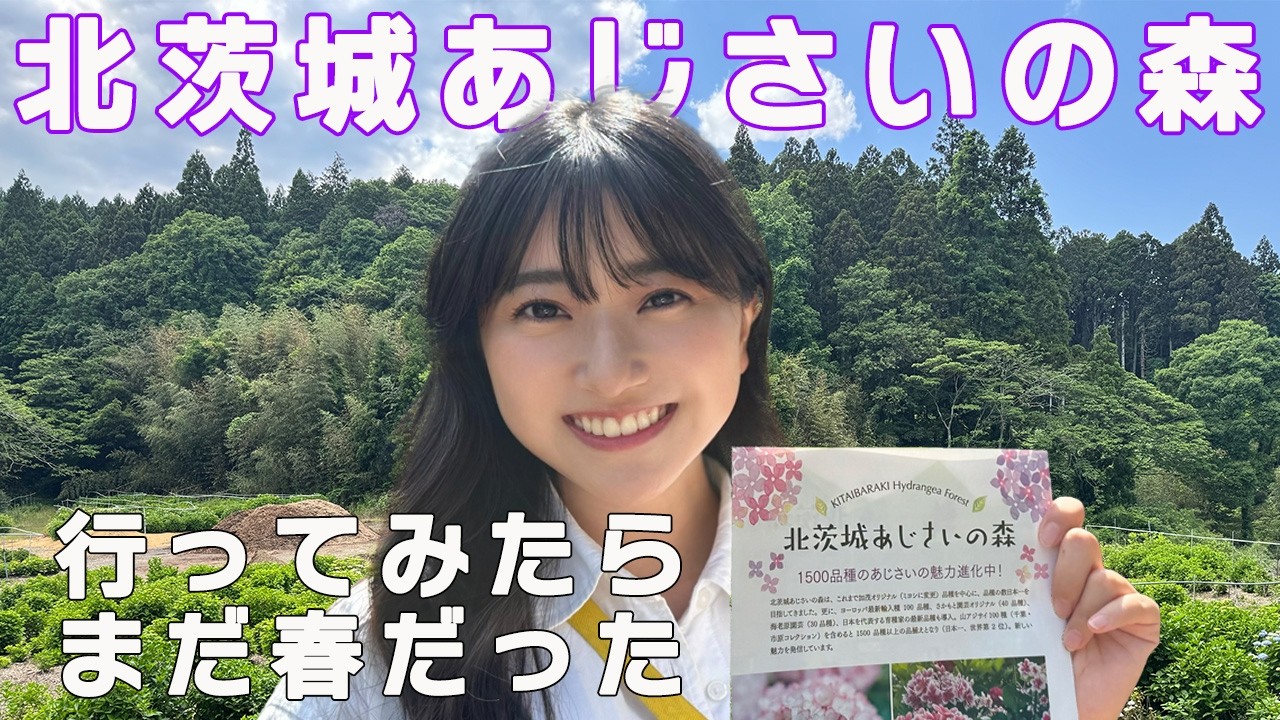 KITAIBARAKI Hydrangea Forest