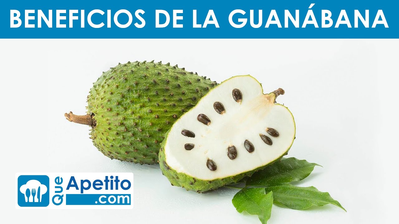 Hojas De Guanabana Para El Higado Graso at teresarpotvino blog