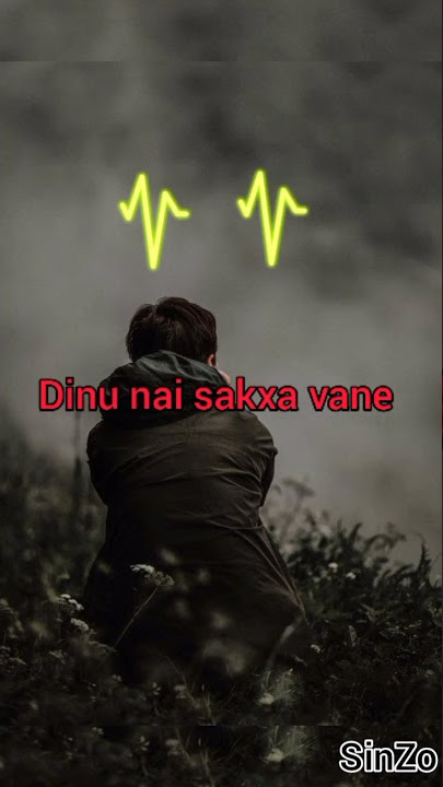 dinu nay sakxa vane broken lines 😭💔 video
