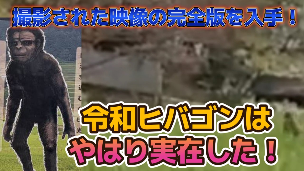 怪物ヒバゴン【希少】 We have obtained the complete version of the filmed footage] Reiwa