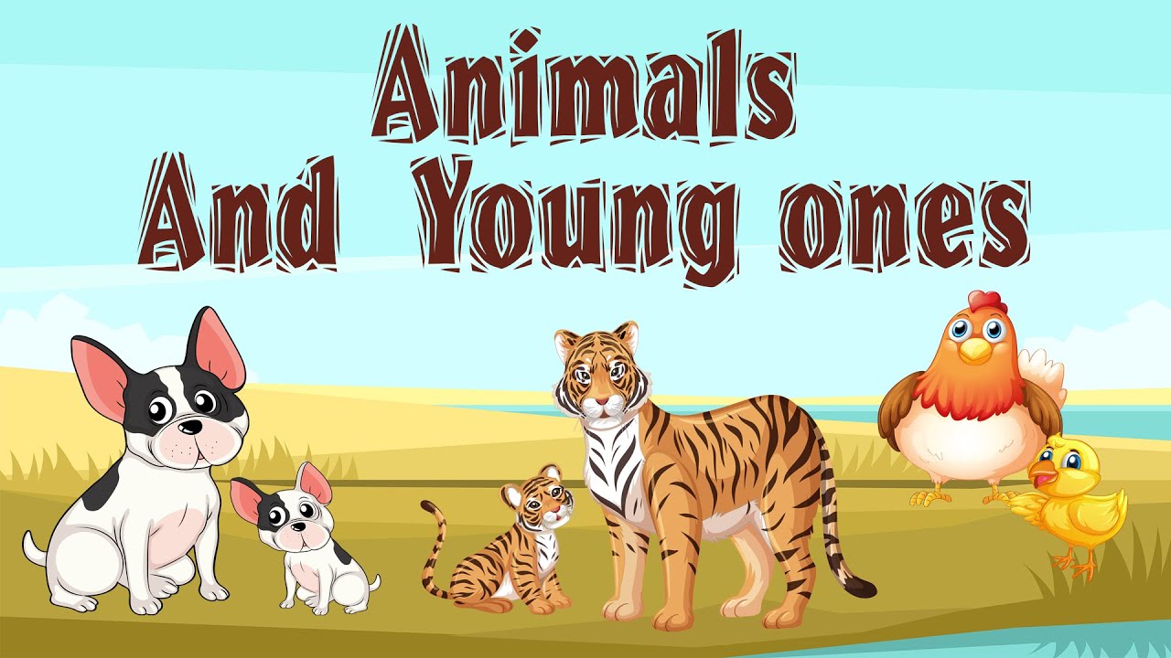 Animals And Their Young Ones || Animals and their babies || For smart