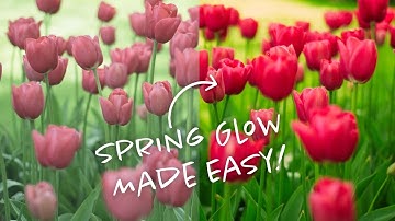 Boost Springtime Vibes: Easy Glow Effect for Stunning Photos in ON1 Photo RAW