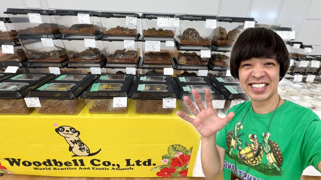 見たことなかった珍種、激レア種が大量にいました！【ブラックアウト東京】