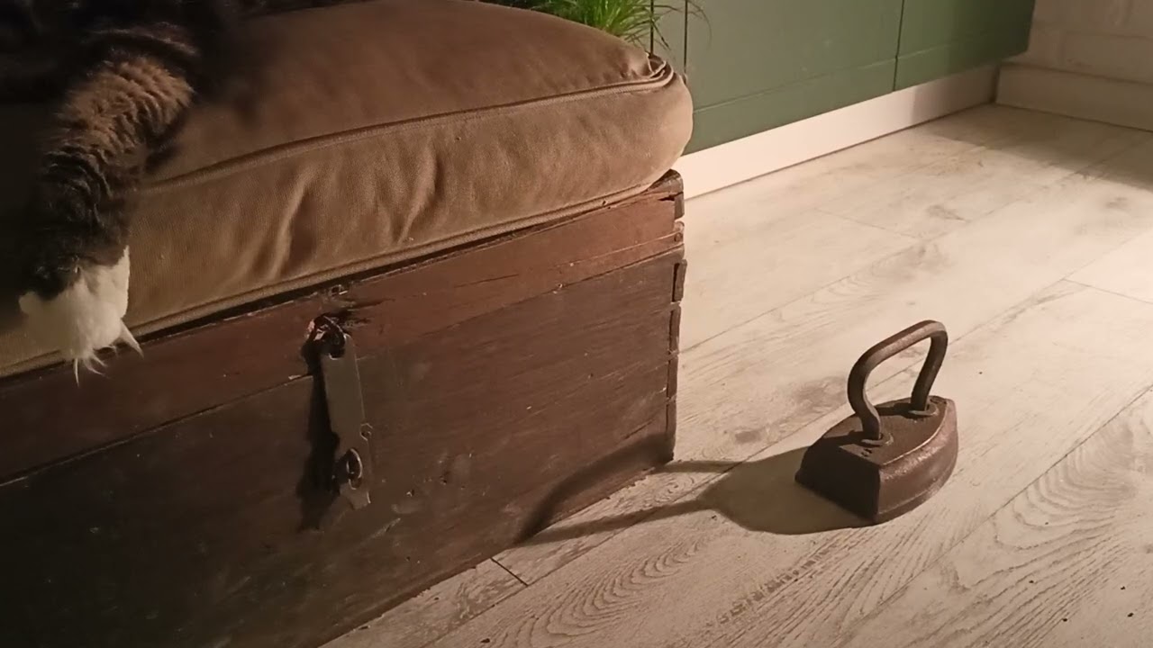 Хозяин Охраняет🏡🐅 