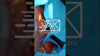 Nuestros Aliados De De La Ciudad De Realizando El Embalaje