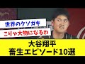【畜生】大谷翔平さん、先輩も後輩も容赦なく煽りまくるwww
