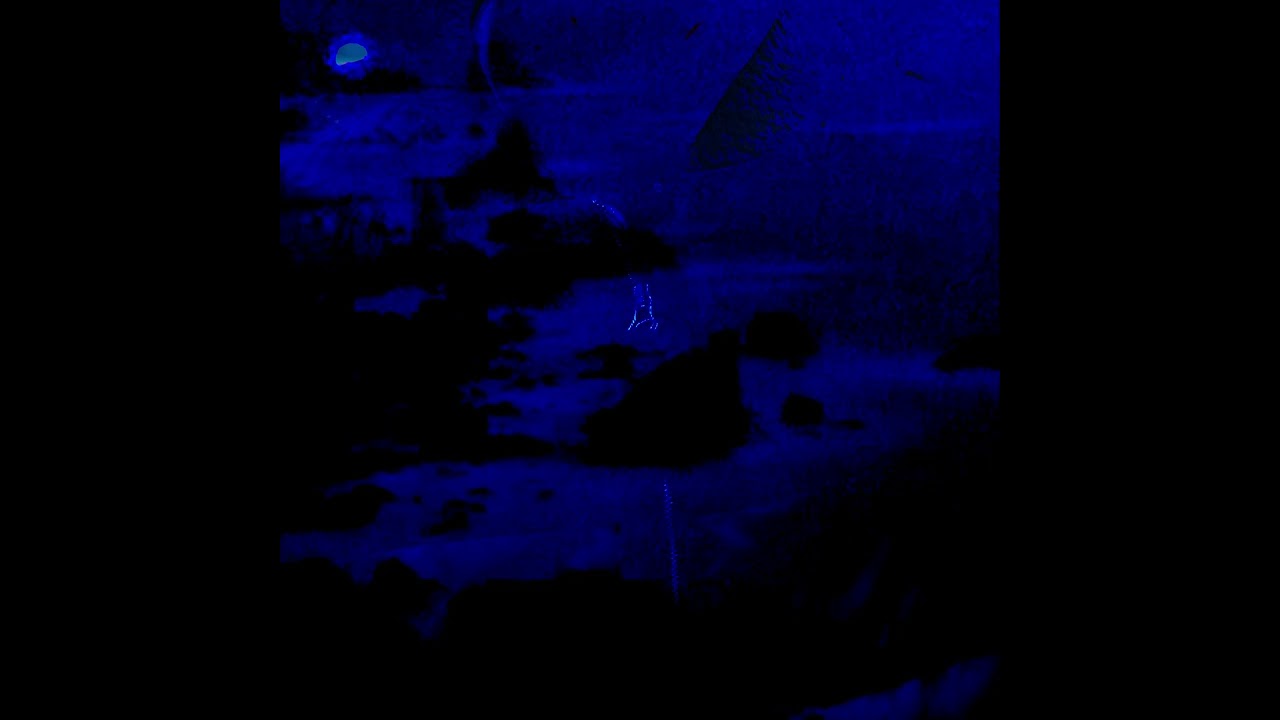 Shields - Dim Horizon