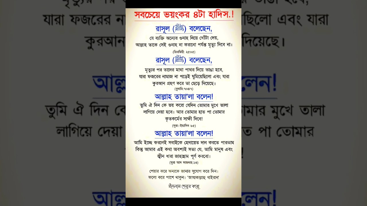 Giribaj Pigeon