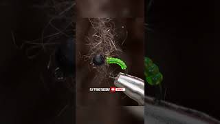 'Squatch Caddis short
