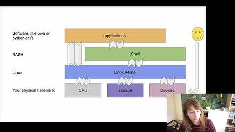 Linux and working with the commandline. UU introduction to bioinformatics lecture/demonstration