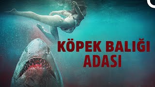 Köpek Balığı Adası Türkçe Dublaj Aksiyon Filmi