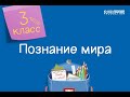 Познание мира. 3 класс /23.09.2020/