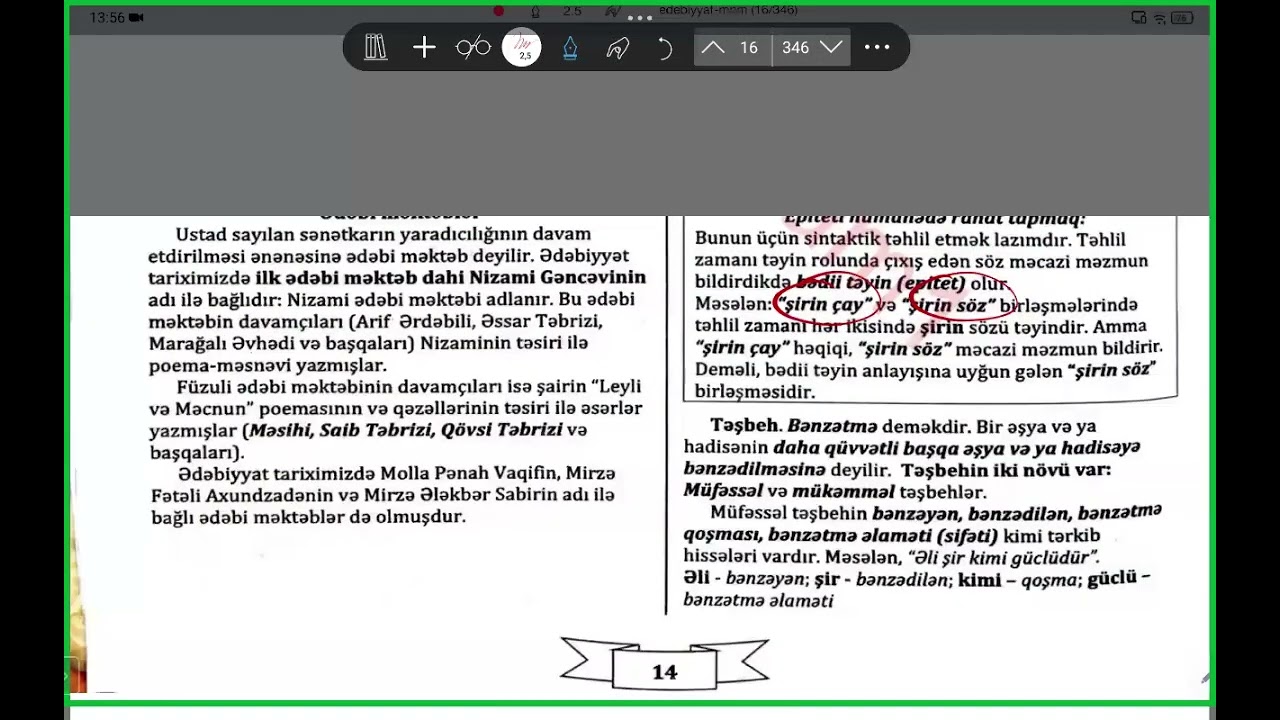 Bədii təsvir və ifadə vasitələri. Günel Kərimli