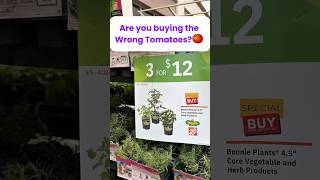 You’re Buying the Wrong Tomato 😳#tomatoes #gardeningtips #homedepot #growyourown #homedepot