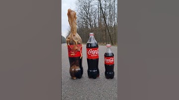 Coke & Mentos Volcano 🌋