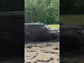 Уаз 300 сил на борту