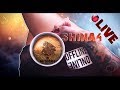 🔴 LIVE | Battlefield 1 | Multiplayer| Gołębie Wojenne| Linia Frontu