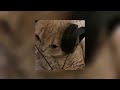 كني ظلاله مسرعه